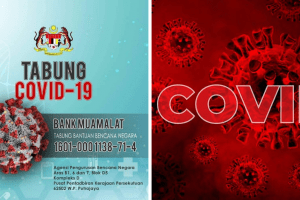 COVID-19 - Semakan Online